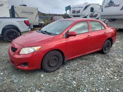 Salvage cars for sale at Elmsdale, NS auction: 2010 Toyota Corolla Base