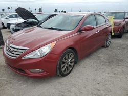 2013 Hyundai Sonata SE en venta en Arcadia, FL