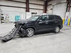 Salvage cars for sale at Bridgeton, MO auction: 2011 KIA Sorento Base