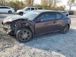 Salvage cars for sale at Cicero, IN auction: 2013 Scion TC