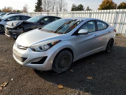 Hyundai Elantra se salvage cars for sale: 2016 Hyundai Elantra SE