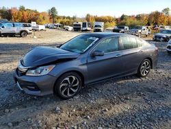 2016 Honda Accord EXL en venta en Candia, NH