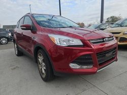 Copart GO Cars for sale at auction: 2014 Ford Escape Titanium