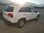 2011 KIA Sorento Base