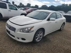 Flood-damaged cars for sale at auction: 2014 Nissan Maxima S