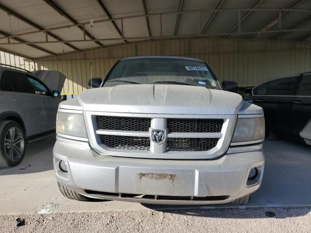 2011 Dodge Dakota SLT