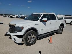 Ford salvage cars for sale: 2013 Ford F150 Supercrew