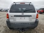 2005 Ford Escape XLT