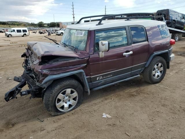 2007 Toyota FJ Cruiser