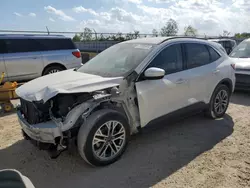 Salvage cars for sale from Copart Houston, TX: 2020 Ford Escape SEL