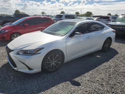 Salvage cars for sale at Riverview, FL auction: 2023 Lexus ES 350 Base