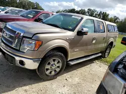 Salvage cars for sale from Copart Ocala, FL: 2012 Ford F150 Supercrew