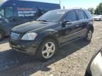 2008 Mercedes-Benz ML 320 CDI