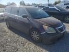 2010 Honda Odyssey EX