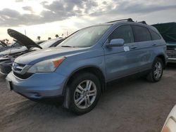 Flood-damaged cars for sale at auction: 2010 Honda CR-V EXL