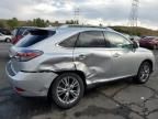 2013 Lexus RX 450H