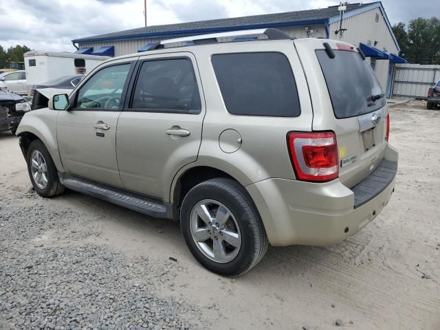 2011 Ford Escape Limited