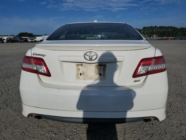 2010 Toyota Camry Base