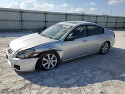 Salvage cars for sale at Walton, KY auction: 2008 Nissan Maxima SE