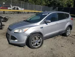 Ford Vehiculos salvage en venta: 2013 Ford Escape SEL