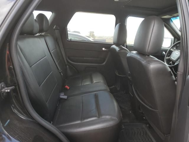 2010 Ford Escape Limited