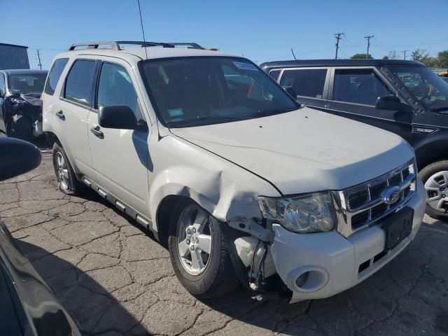 2011 Ford Escape XLS