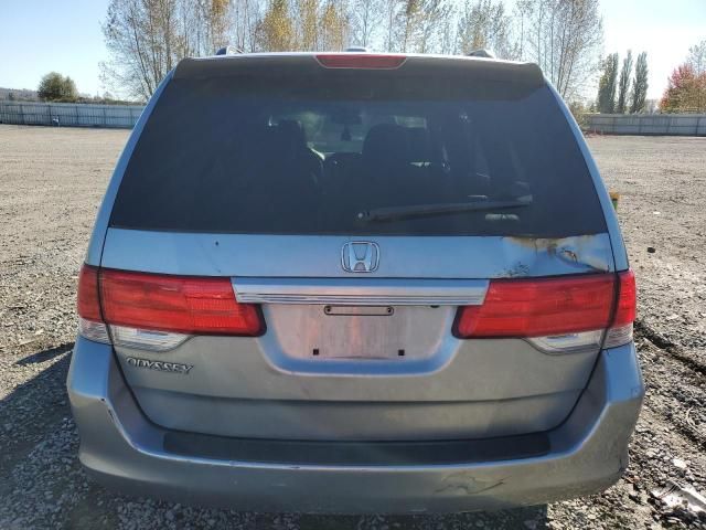 2008 Honda Odyssey EXL