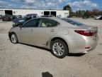 2013 Lexus ES 300H