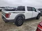 2019 Ford F150 Raptor