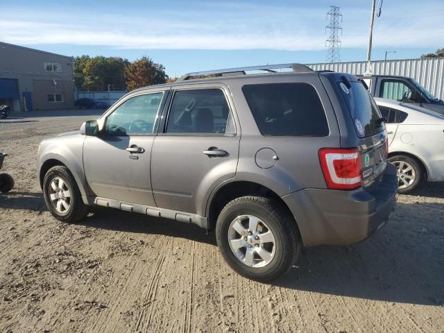 2011 Ford Escape Limited