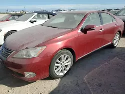 Salvage cars for sale from Copart Arcadia, FL: 2010 Lexus ES 350