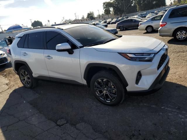 2023 Toyota Rav4 XLE Premium