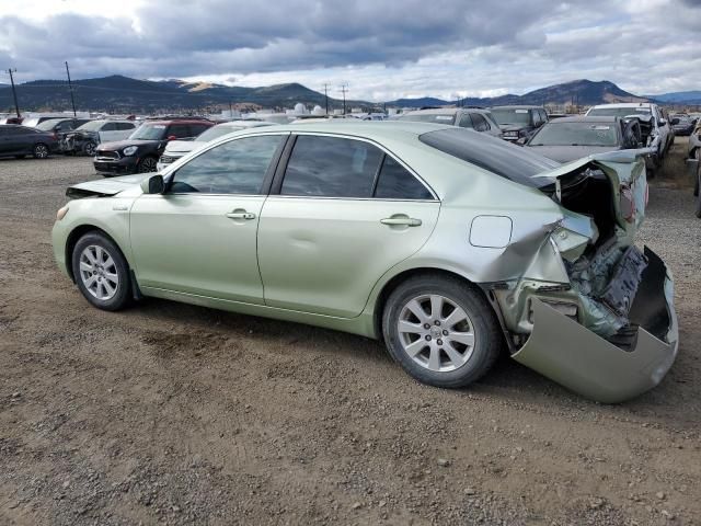 2009 Toyota Camry Hybrid