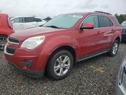 Flood-damaged cars for sale at auction: 2013 Chevrolet Equinox LT