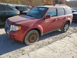 Ford salvage cars for sale: 2009 Ford Escape Limited