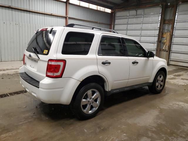 2009 Ford Escape XLT