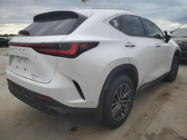 2024 Lexus NX 350H Base