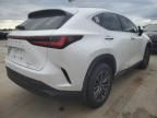 2024 Lexus NX 350H Base