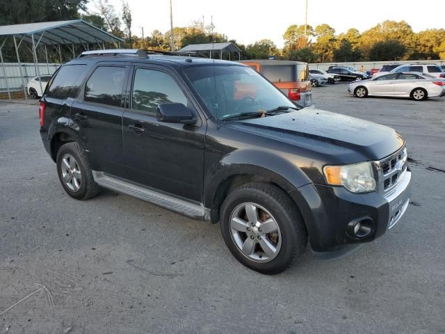 2011 Ford Escape Limited