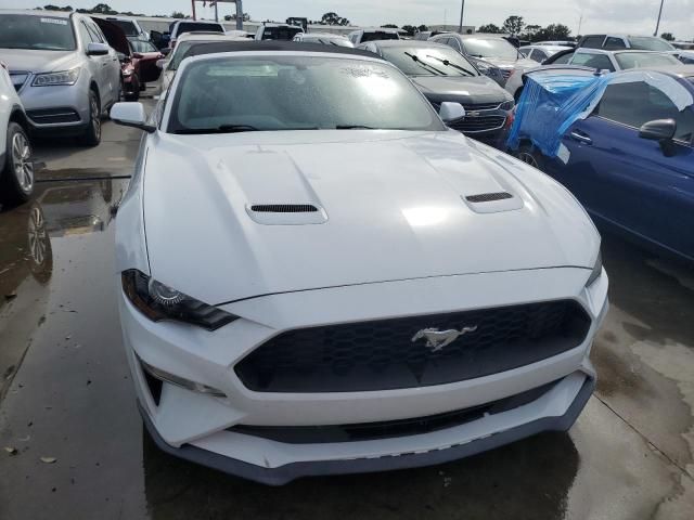 2019 Ford Mustang