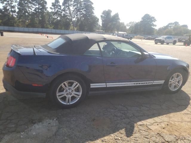 2010 Ford Mustang