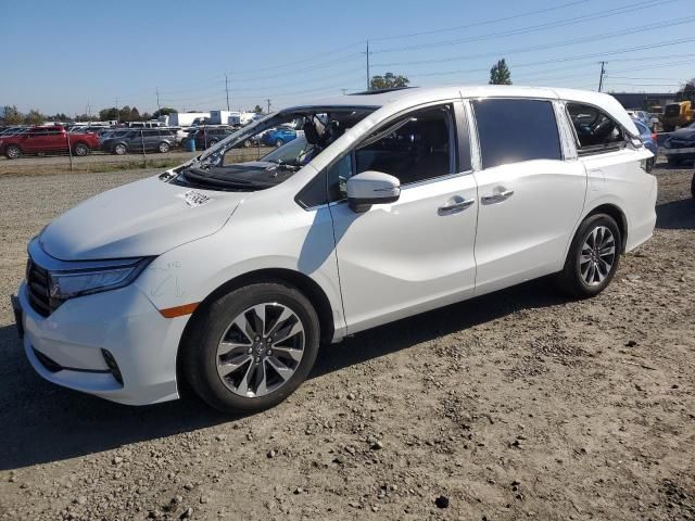 2022 Honda Odyssey EXL