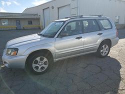 Subaru salvage cars for sale: 2004 Subaru Forester 2.5XS