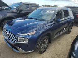 2021 Hyundai Santa FE SEL en venta en Arcadia, FL