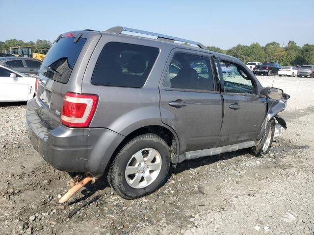 2012 Ford Escape Limited