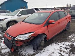 Salvage cars for sale at auction: 2014 Ford Focus SE