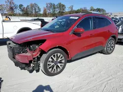 Ford Escape sel salvage cars for sale: 2020 Ford Escape SEL