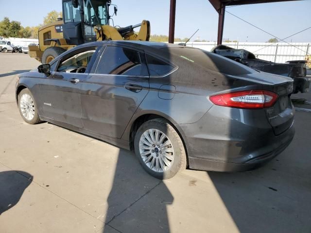 2016 Ford Fusion SE Hybrid