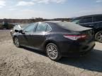 2019 Toyota Camry Hybrid