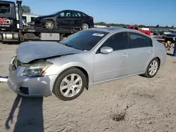 2007 Nissan Maxima SE en venta en Harleyville, SC